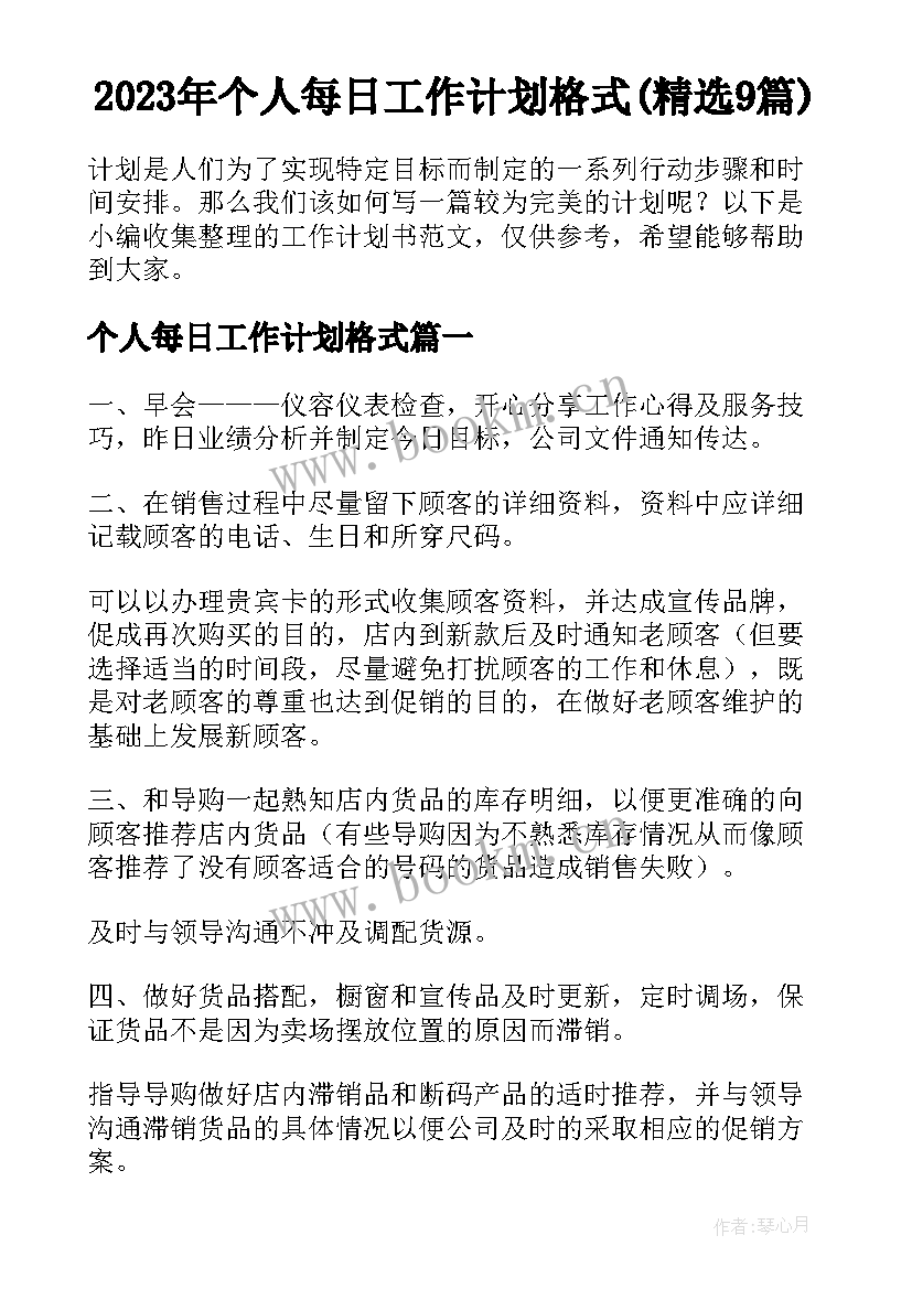 2023年个人每日工作计划格式(精选9篇)