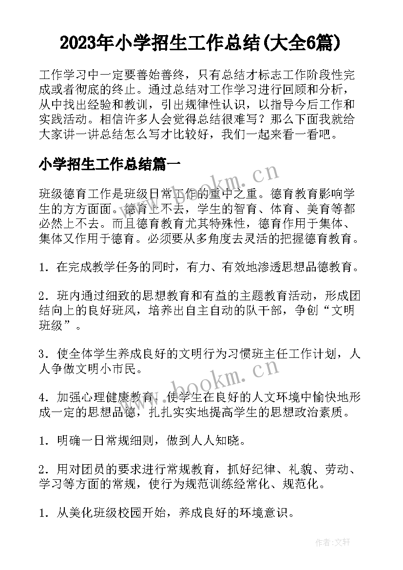 2023年小学招生工作总结(大全6篇)