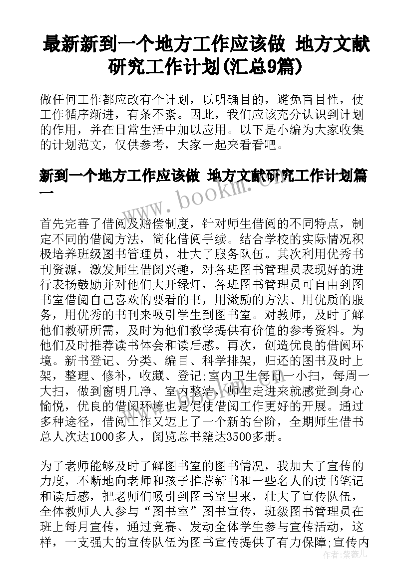 最新新到一个地方工作应该做 地方文献研究工作计划(汇总9篇)