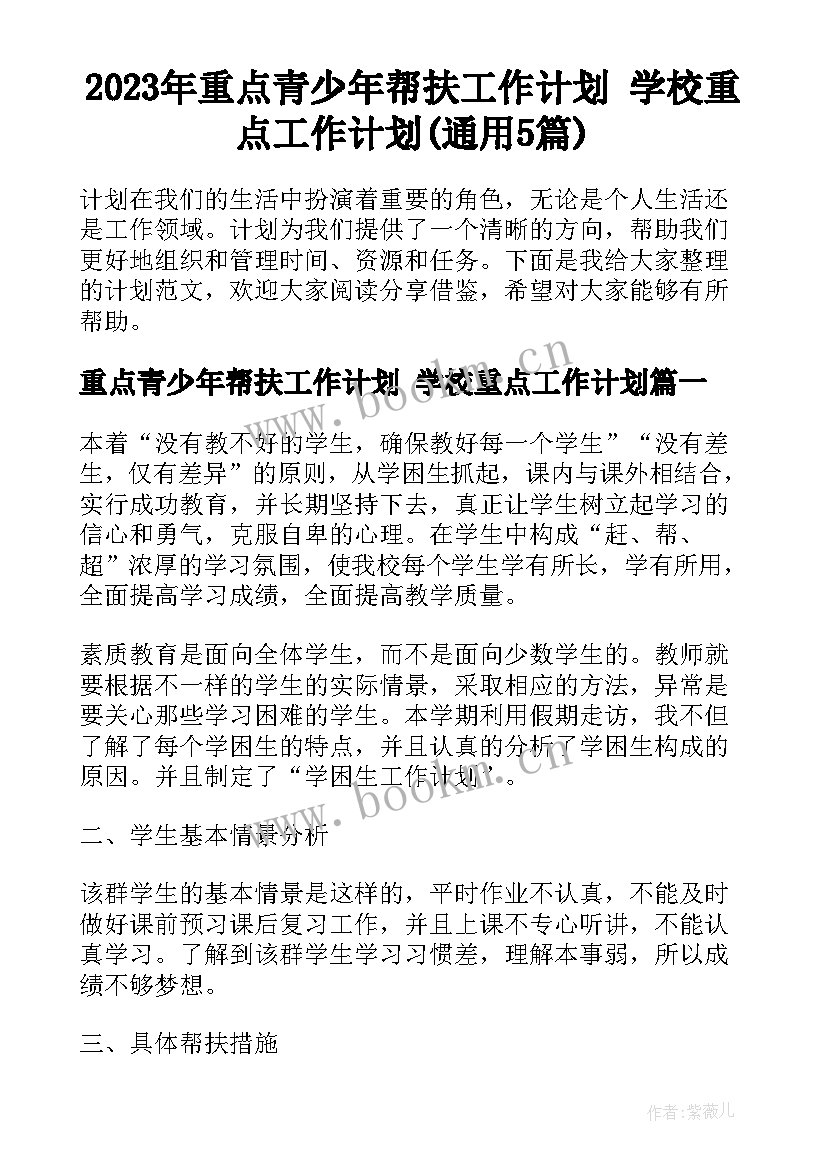 2023年重点青少年帮扶工作计划 学校重点工作计划(通用5篇)