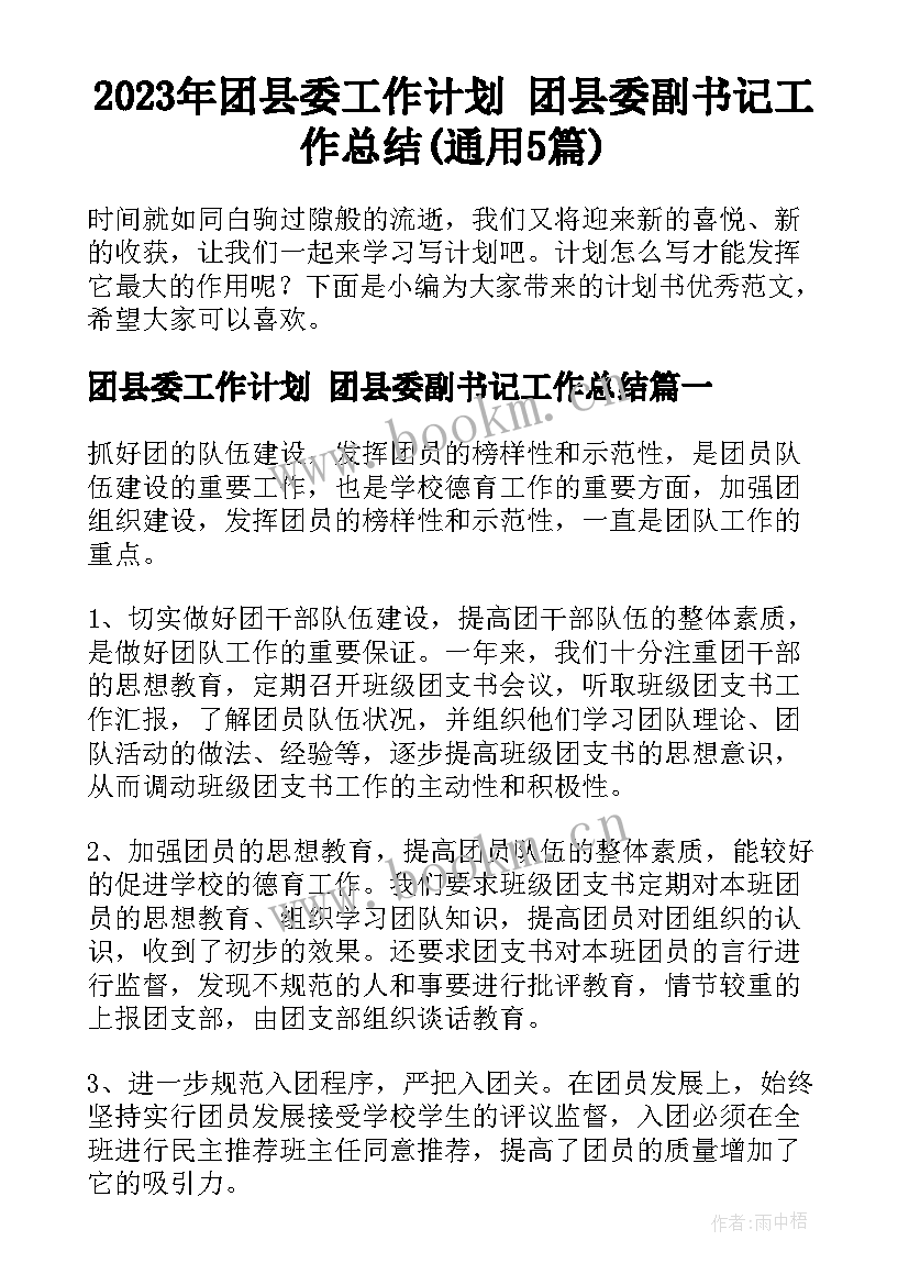 2023年团县委工作计划 团县委副书记工作总结(通用5篇)