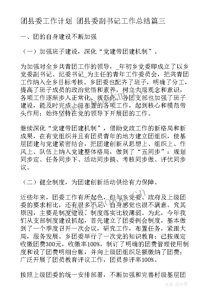 2023年团县委工作计划 团县委副书记工作总结(通用5篇)