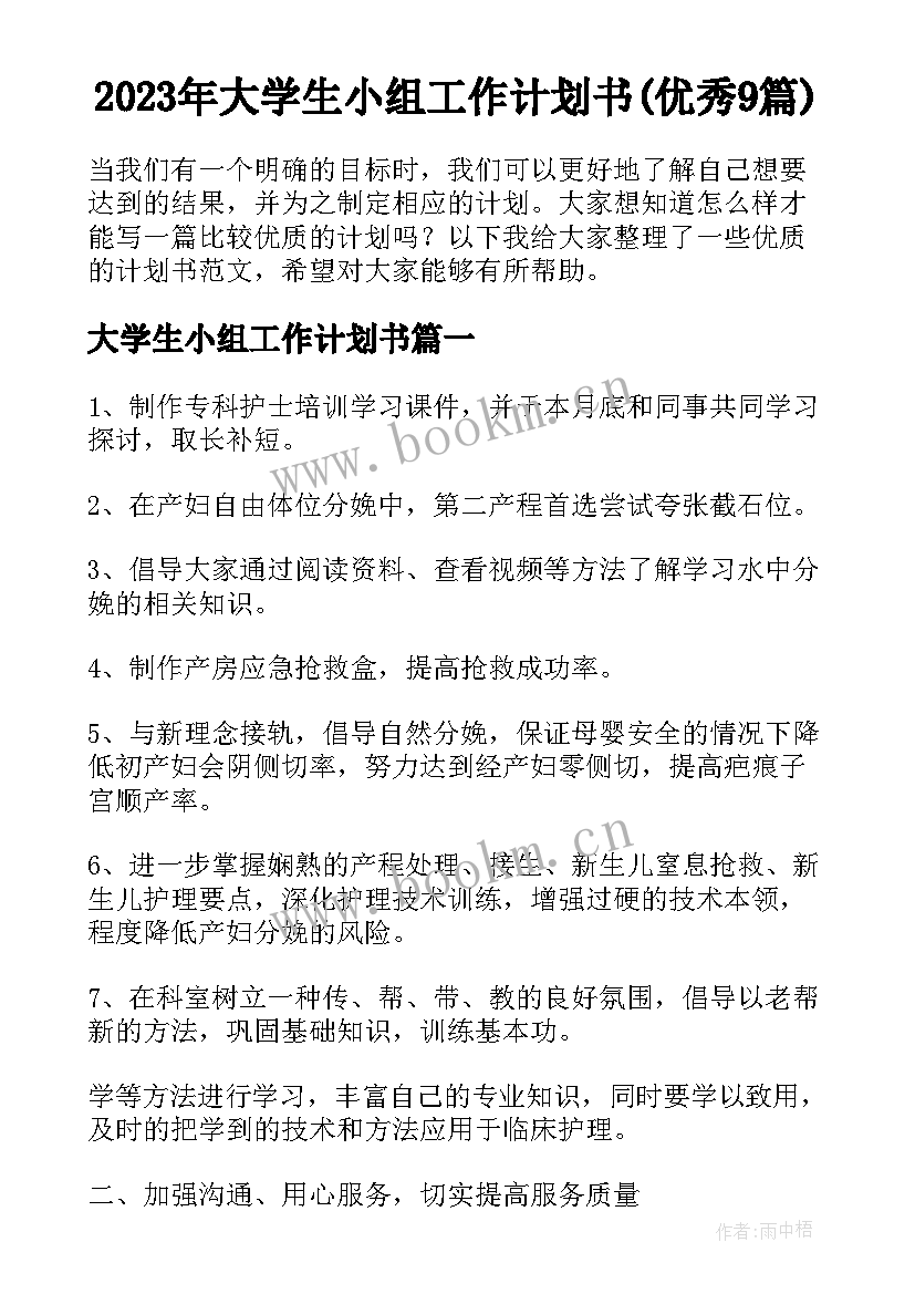 2023年大学生小组工作计划书(优秀9篇)