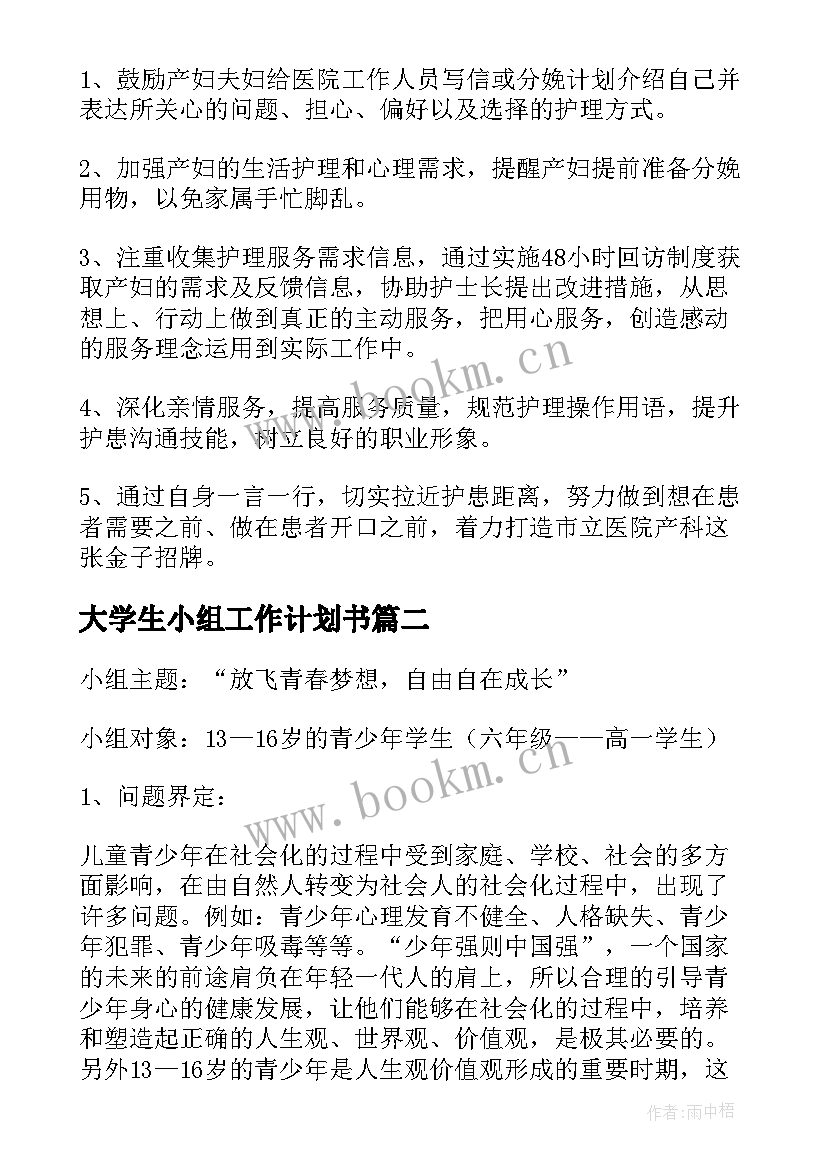 2023年大学生小组工作计划书(优秀9篇)