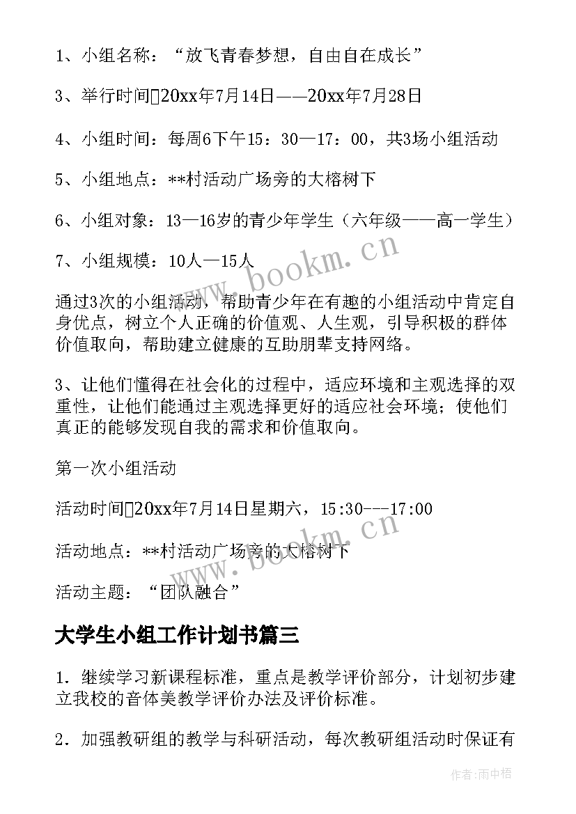 2023年大学生小组工作计划书(优秀9篇)