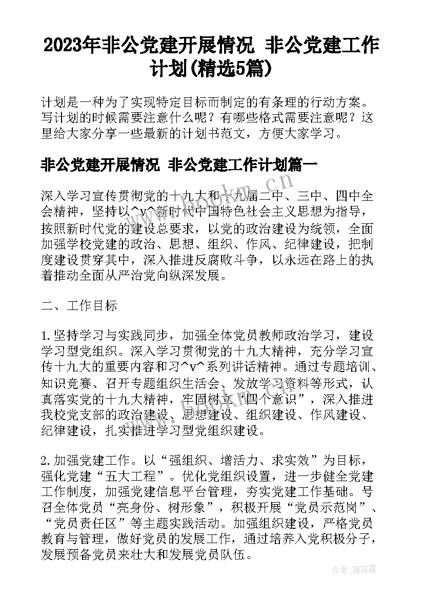 2023年非公党建开展情况 非公党建工作计划(精选5篇)