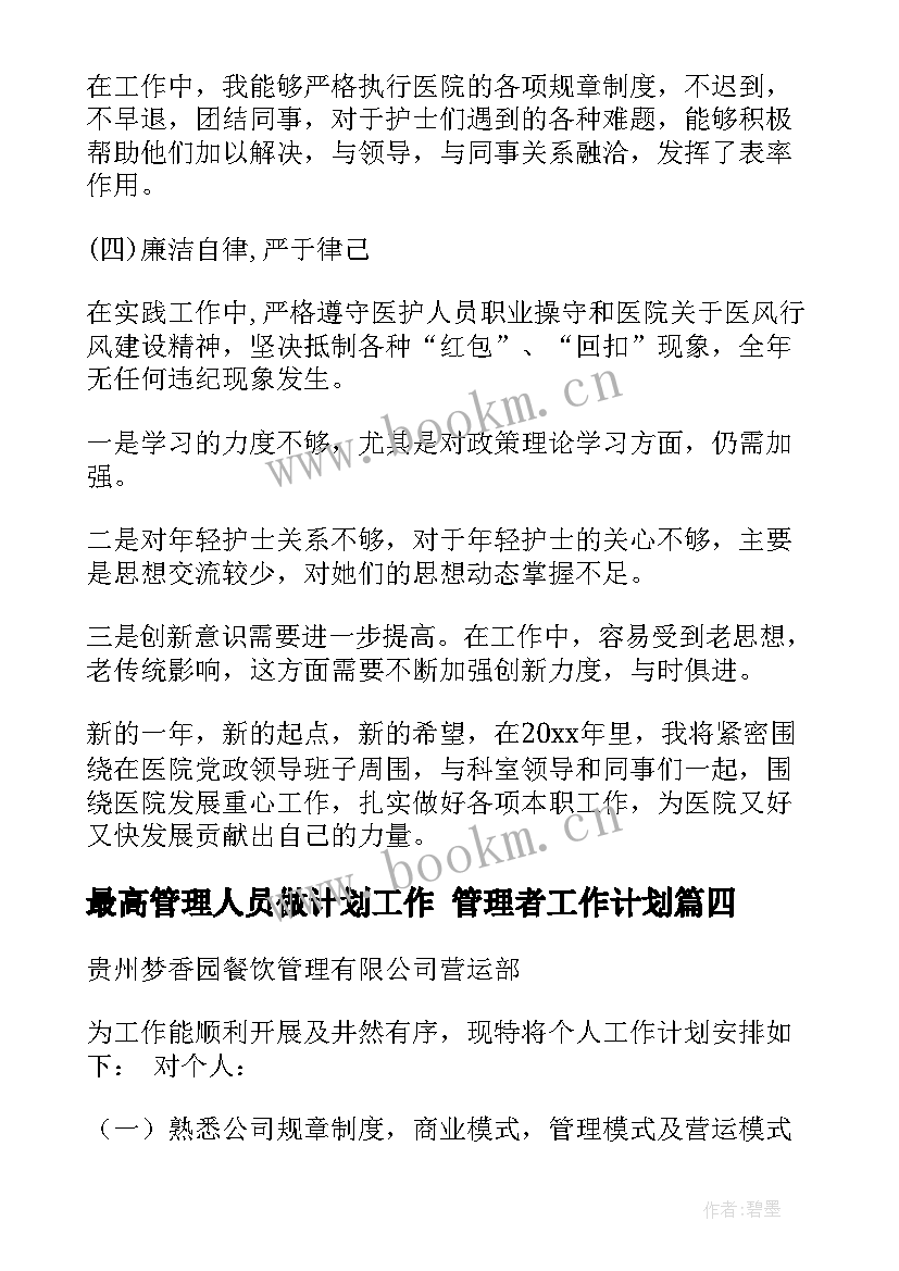 2023年最高管理人员做计划工作 管理者工作计划(精选5篇)