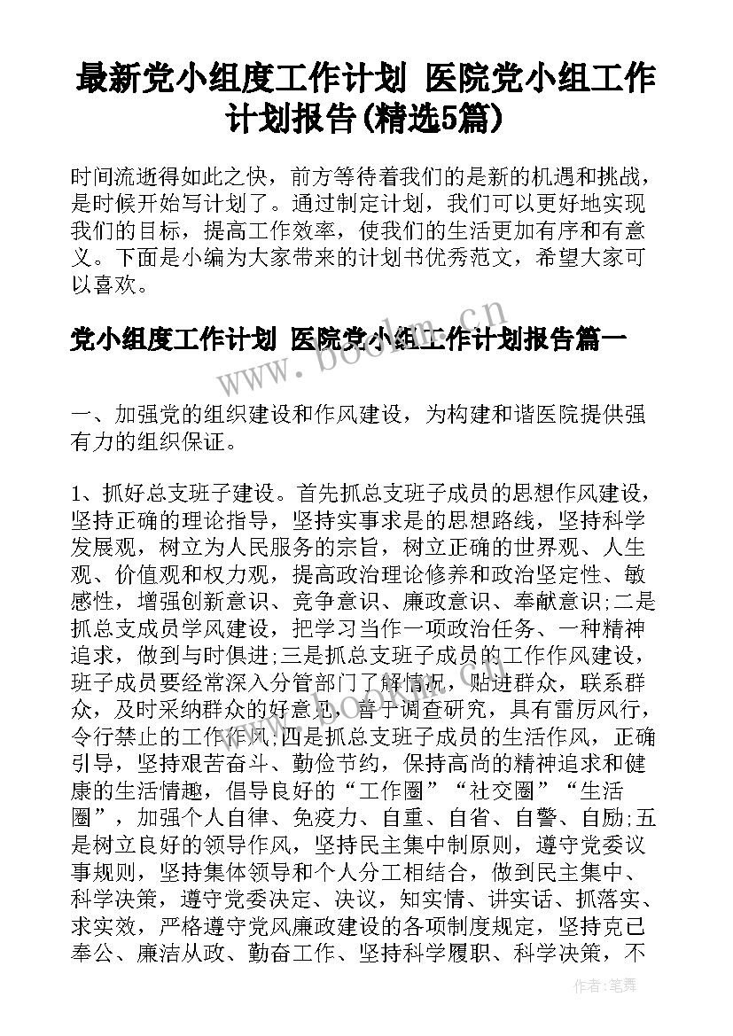 最新党小组度工作计划 医院党小组工作计划报告(精选5篇)