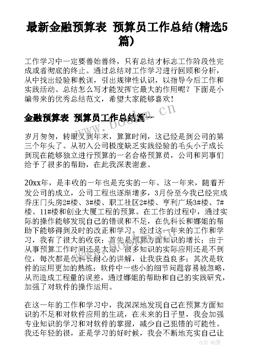 最新金融预算表 预算员工作总结(精选5篇)