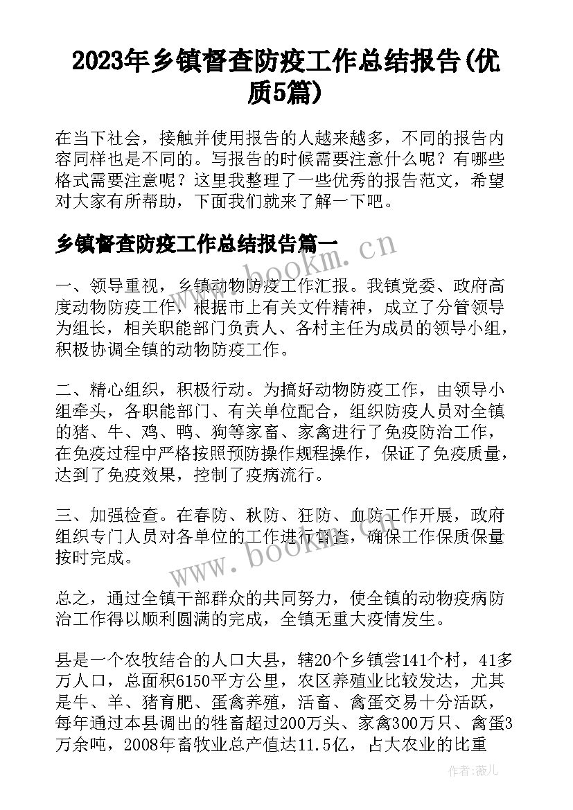 2023年乡镇督查防疫工作总结报告(优质5篇)