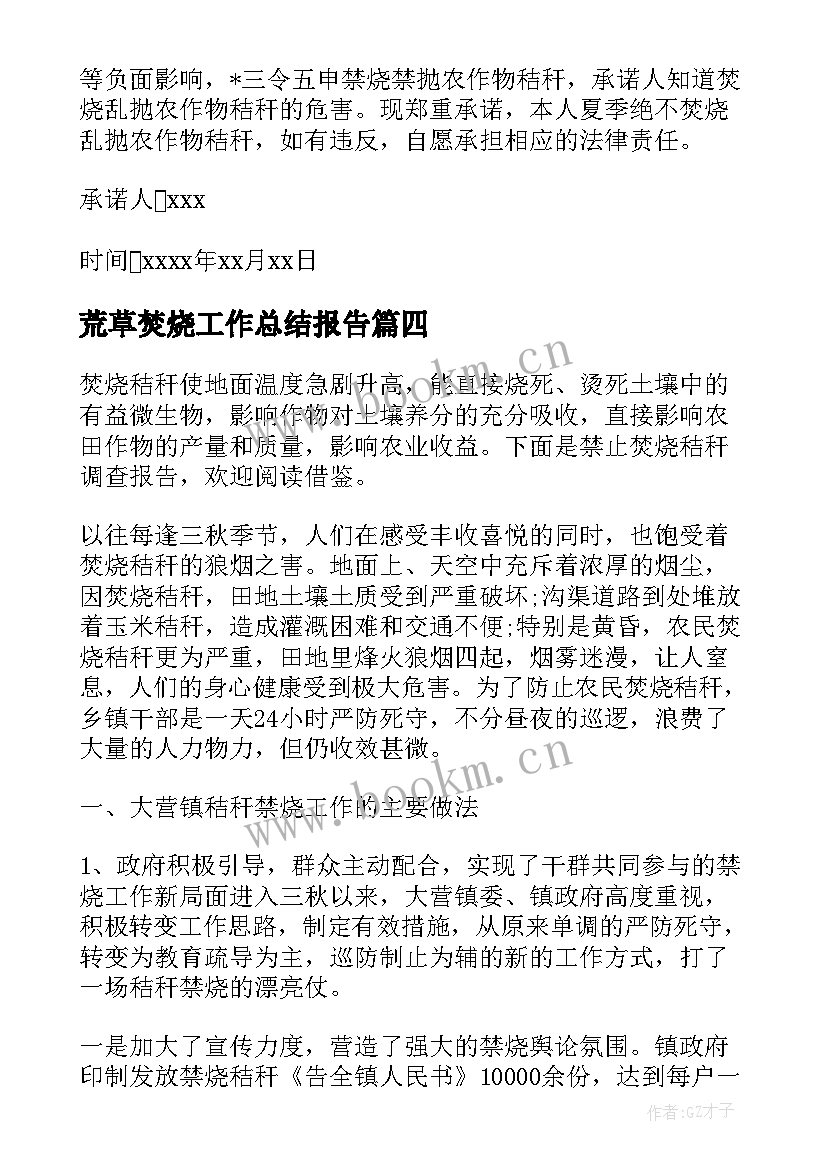 最新荒草焚烧工作总结报告(模板5篇)