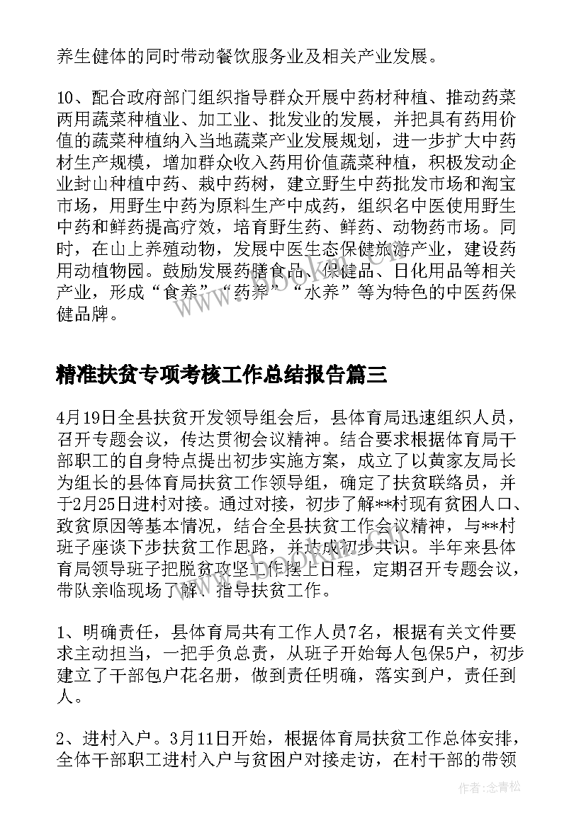 2023年精准扶贫专项考核工作总结报告(通用7篇)