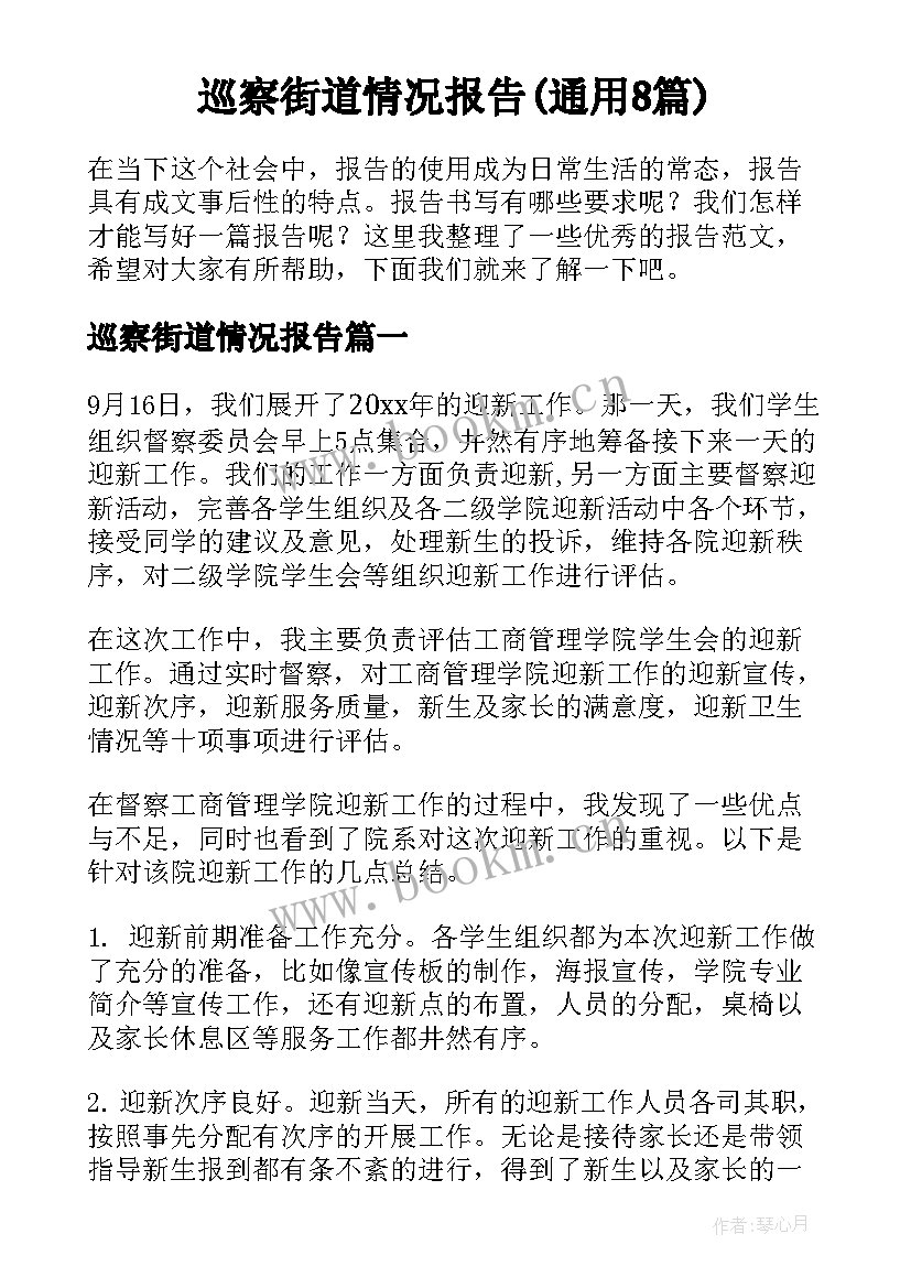 巡察街道情况报告(通用8篇)