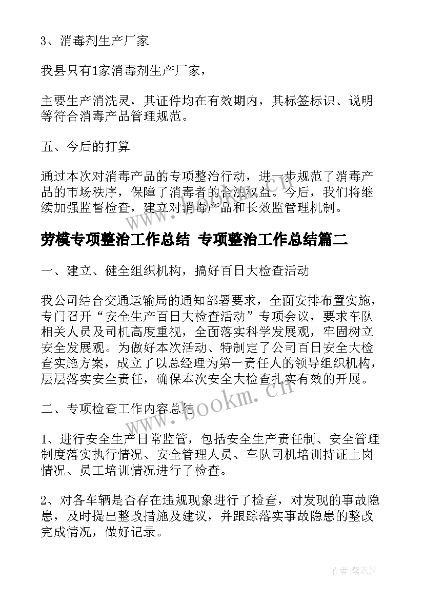 最新劳模专项整治工作总结 专项整治工作总结(优秀5篇)