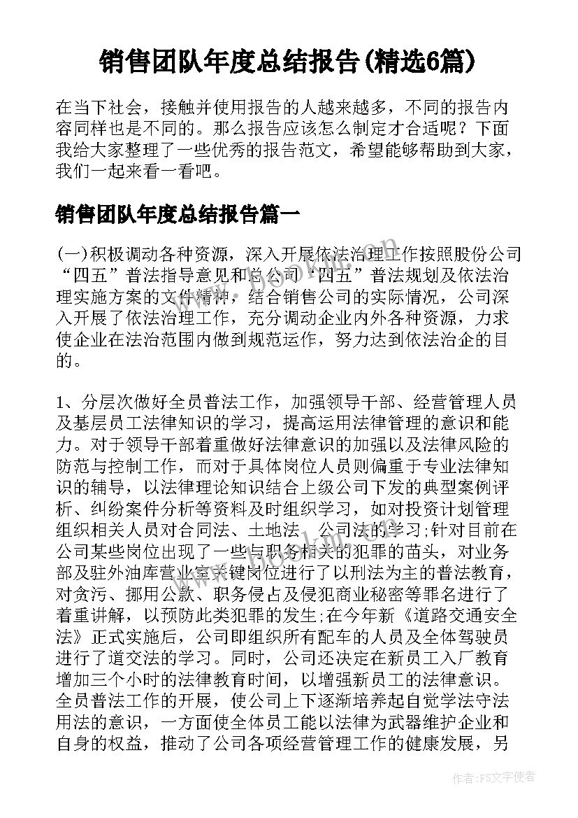 销售团队年度总结报告(精选6篇)