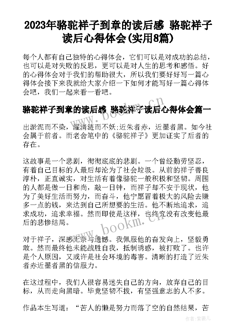 2023年骆驼祥子到章的读后感 骆驼祥子读后心得体会(实用8篇)