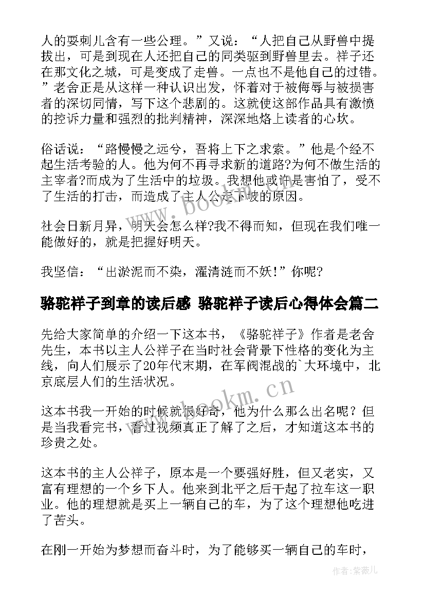 2023年骆驼祥子到章的读后感 骆驼祥子读后心得体会(实用8篇)