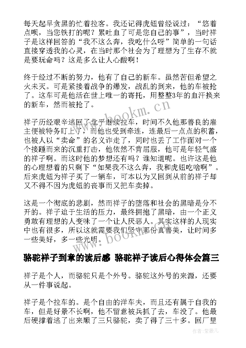 2023年骆驼祥子到章的读后感 骆驼祥子读后心得体会(实用8篇)