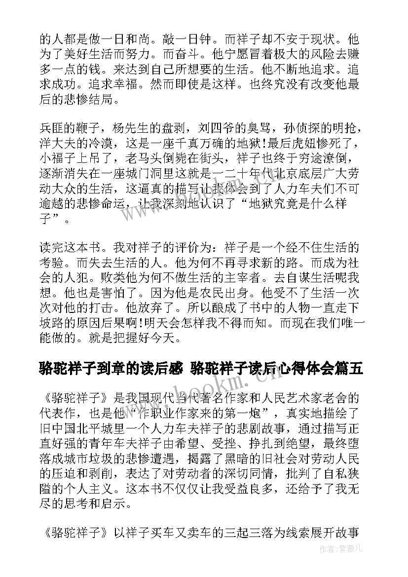 2023年骆驼祥子到章的读后感 骆驼祥子读后心得体会(实用8篇)