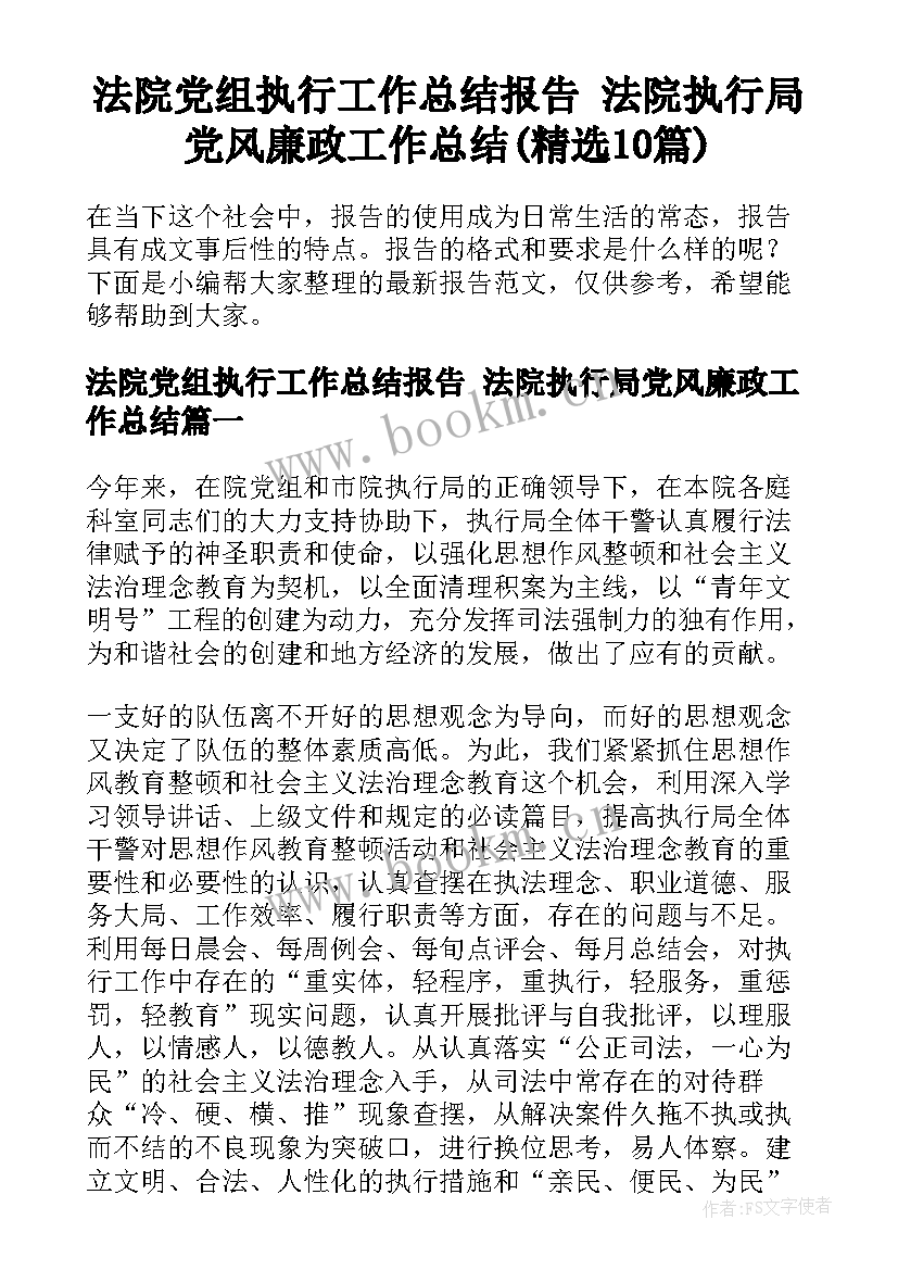 法院党组执行工作总结报告 法院执行局党风廉政工作总结(精选10篇)