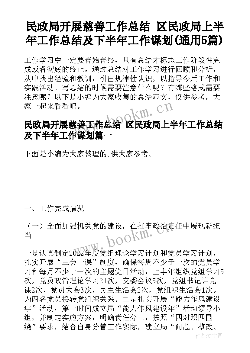 民政局开展慈善工作总结 区民政局上半年工作总结及下半年工作谋划(通用5篇)