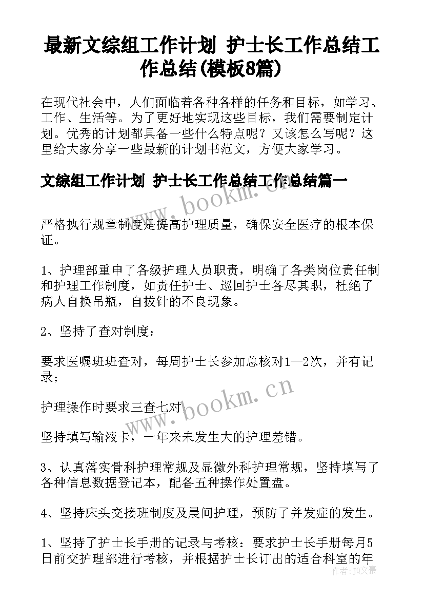 最新文综组工作计划 护士长工作总结工作总结(模板8篇)