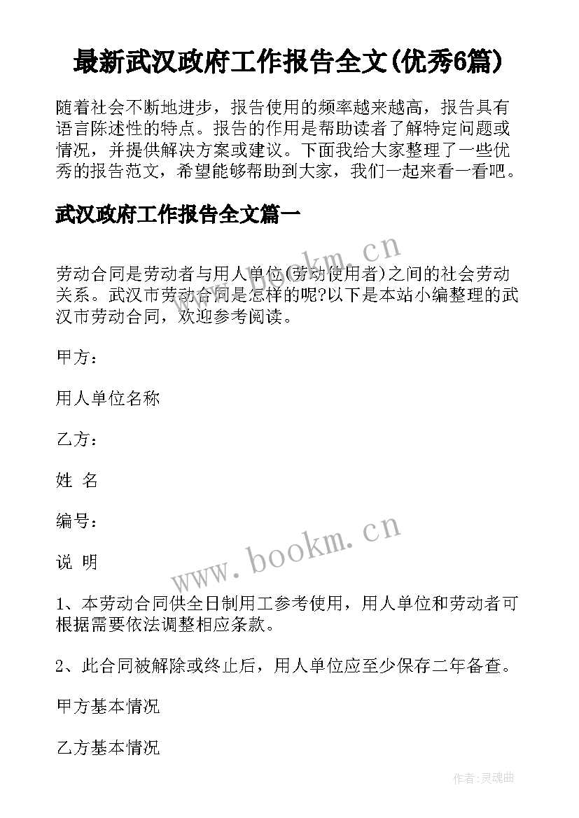 最新武汉政府工作报告全文(优秀6篇)