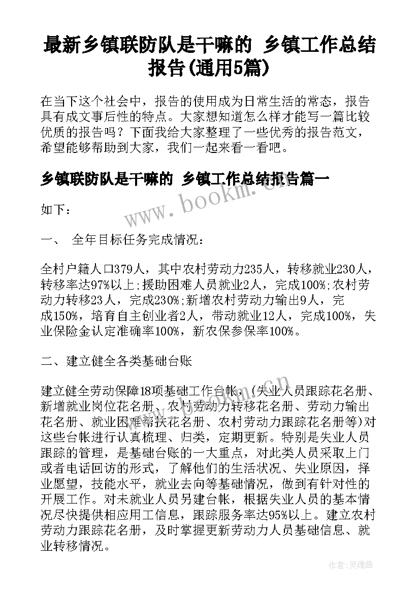 最新乡镇联防队是干嘛的 乡镇工作总结报告(通用5篇)