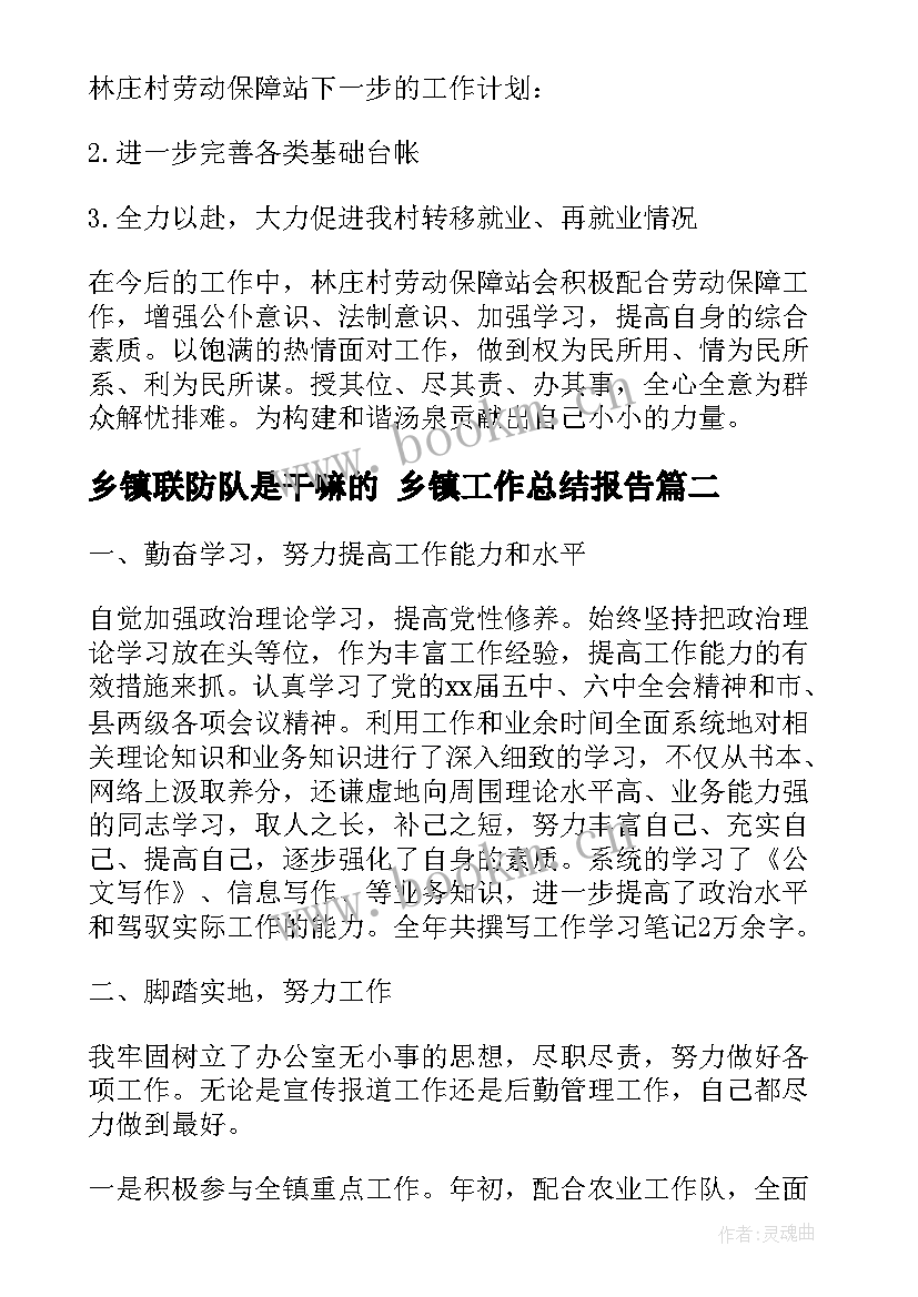 最新乡镇联防队是干嘛的 乡镇工作总结报告(通用5篇)