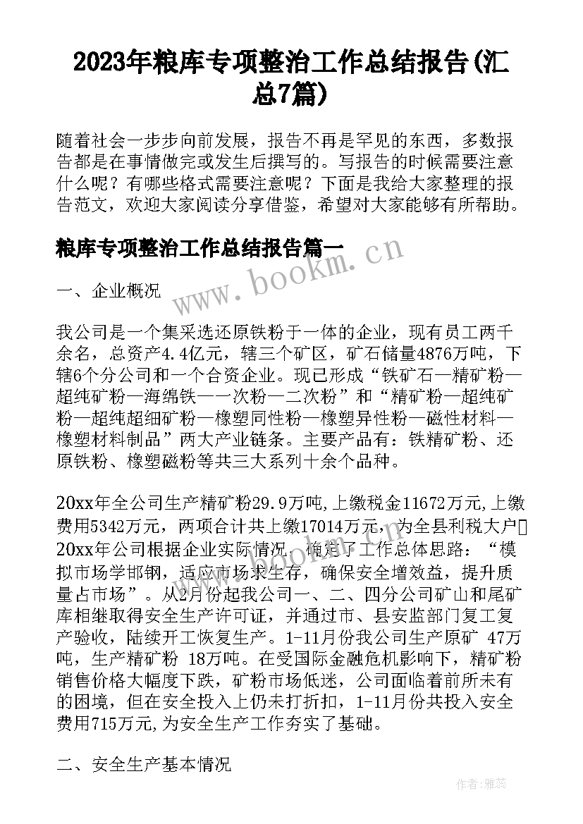 2023年粮库专项整治工作总结报告(汇总7篇)