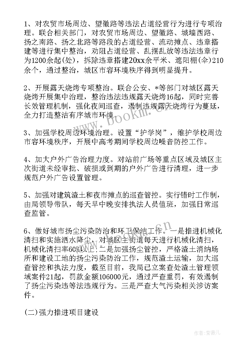 文化执法工作汇报 行政执法局年度工作总结(通用7篇)