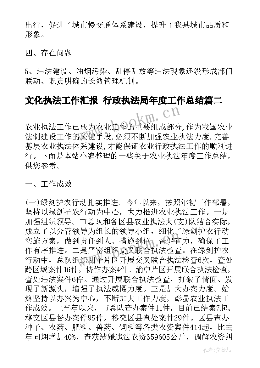 文化执法工作汇报 行政执法局年度工作总结(通用7篇)