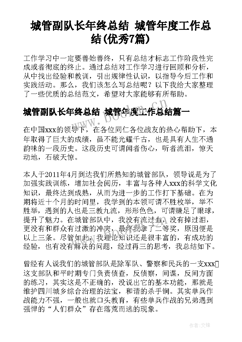 城管副队长年终总结 城管年度工作总结(优秀7篇)