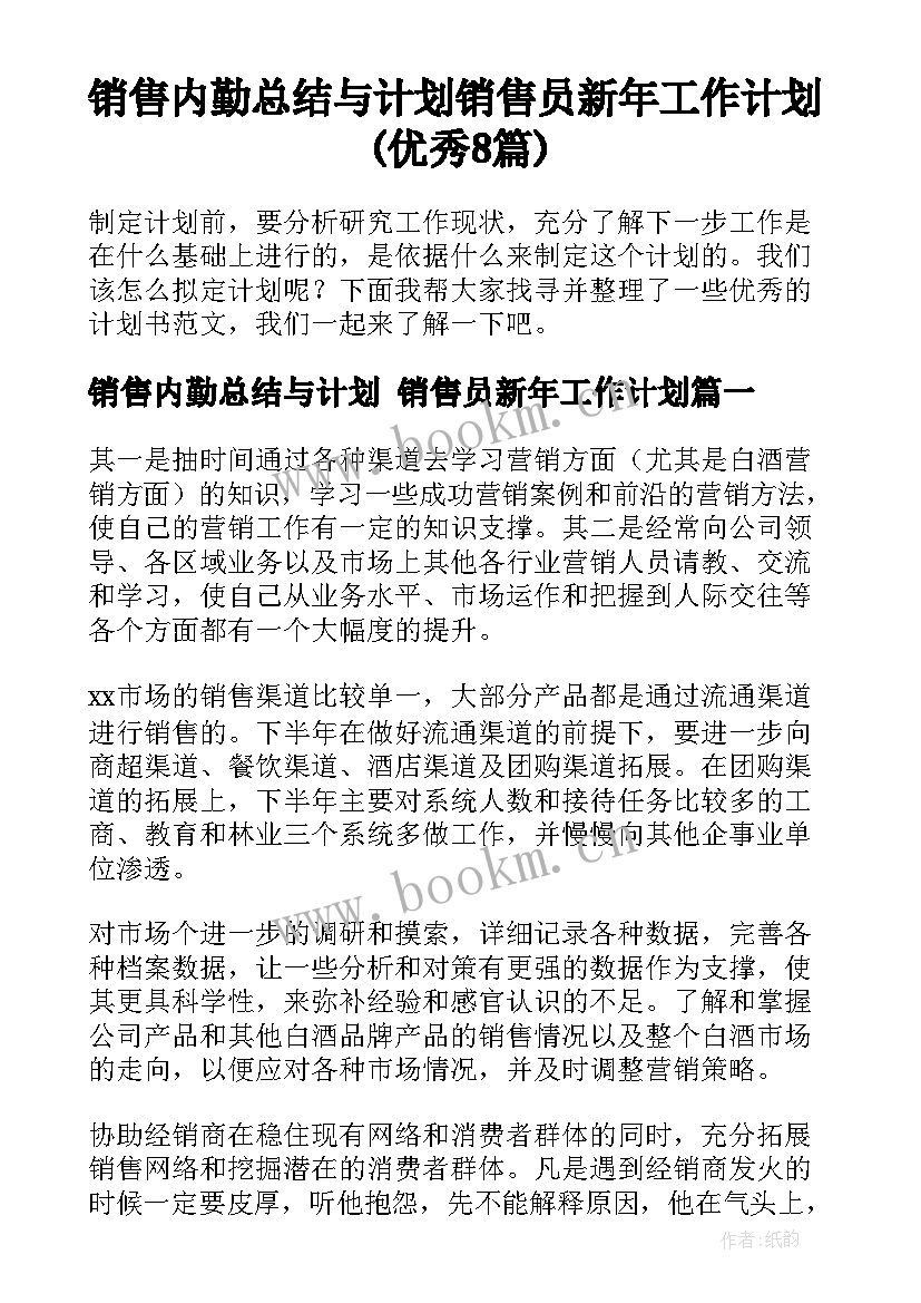 销售内勤总结与计划 销售员新年工作计划(优秀8篇)