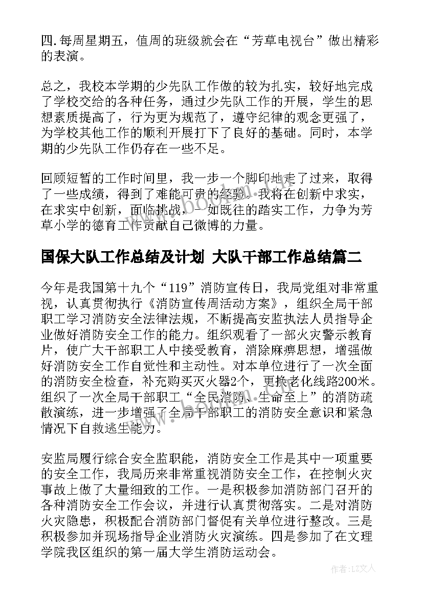 最新国保大队工作总结及计划 大队干部工作总结(优秀7篇)