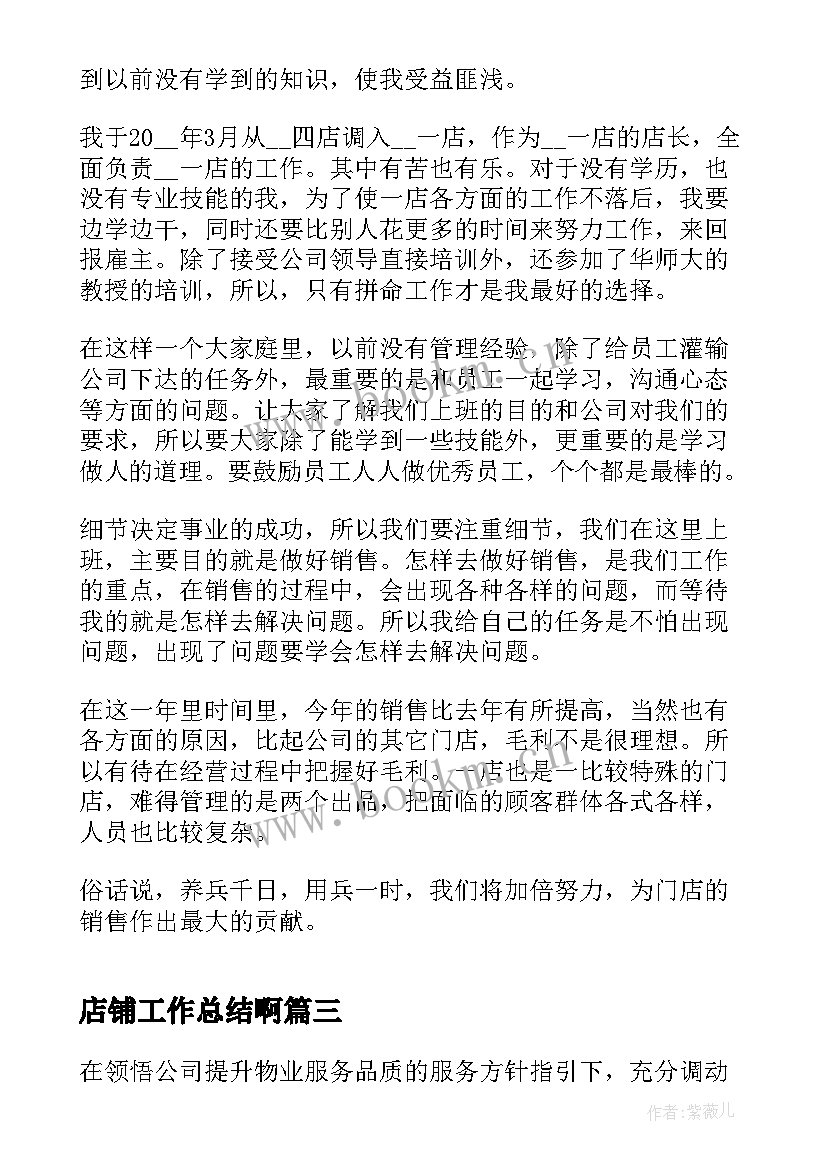 2023年店铺工作总结啊(汇总9篇)