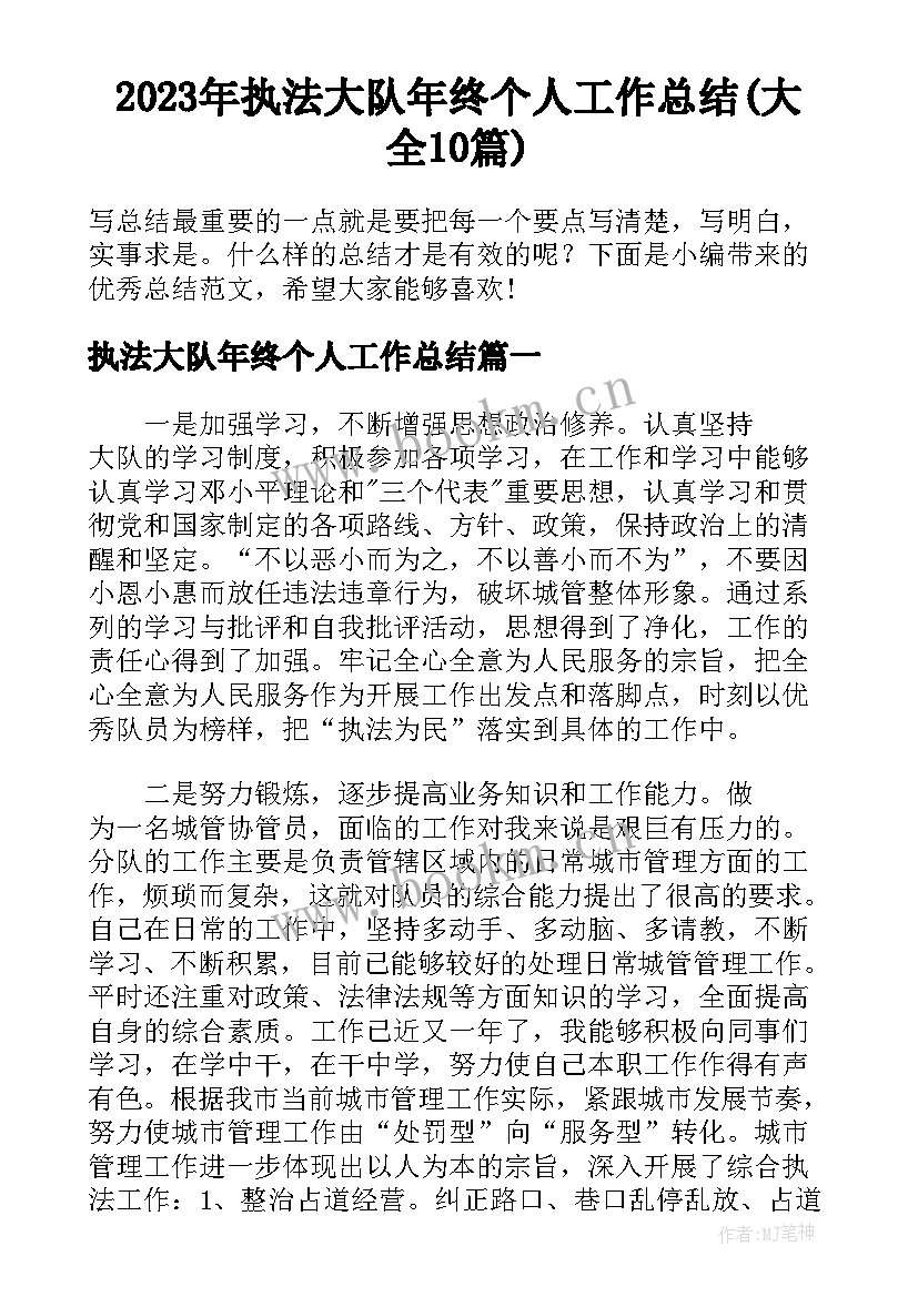 2023年执法大队年终个人工作总结(大全10篇)