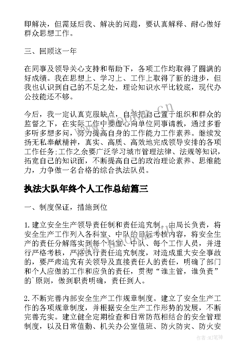 2023年执法大队年终个人工作总结(大全10篇)