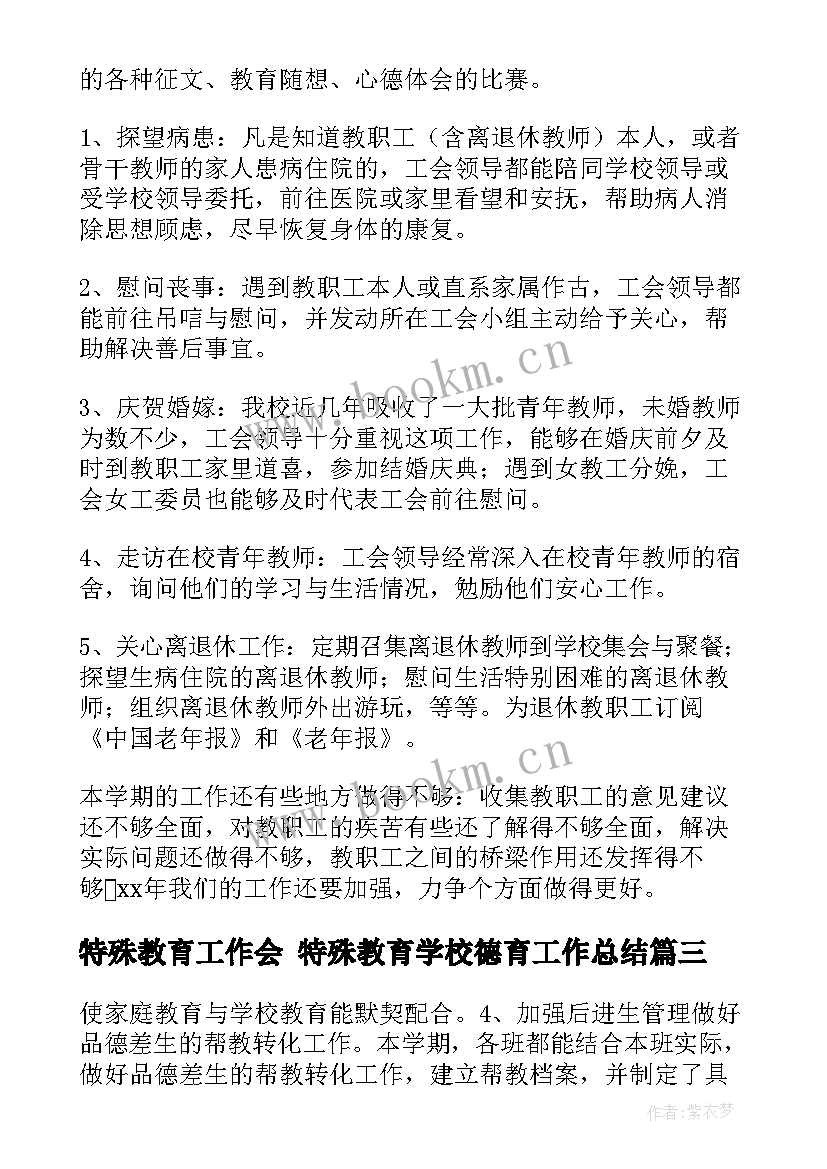 特殊教育工作会 特殊教育学校德育工作总结(模板5篇)