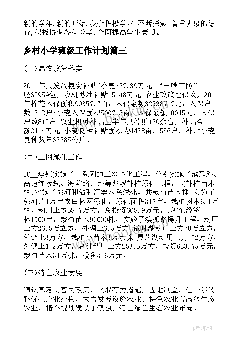 乡村小学班级工作计划(实用9篇)