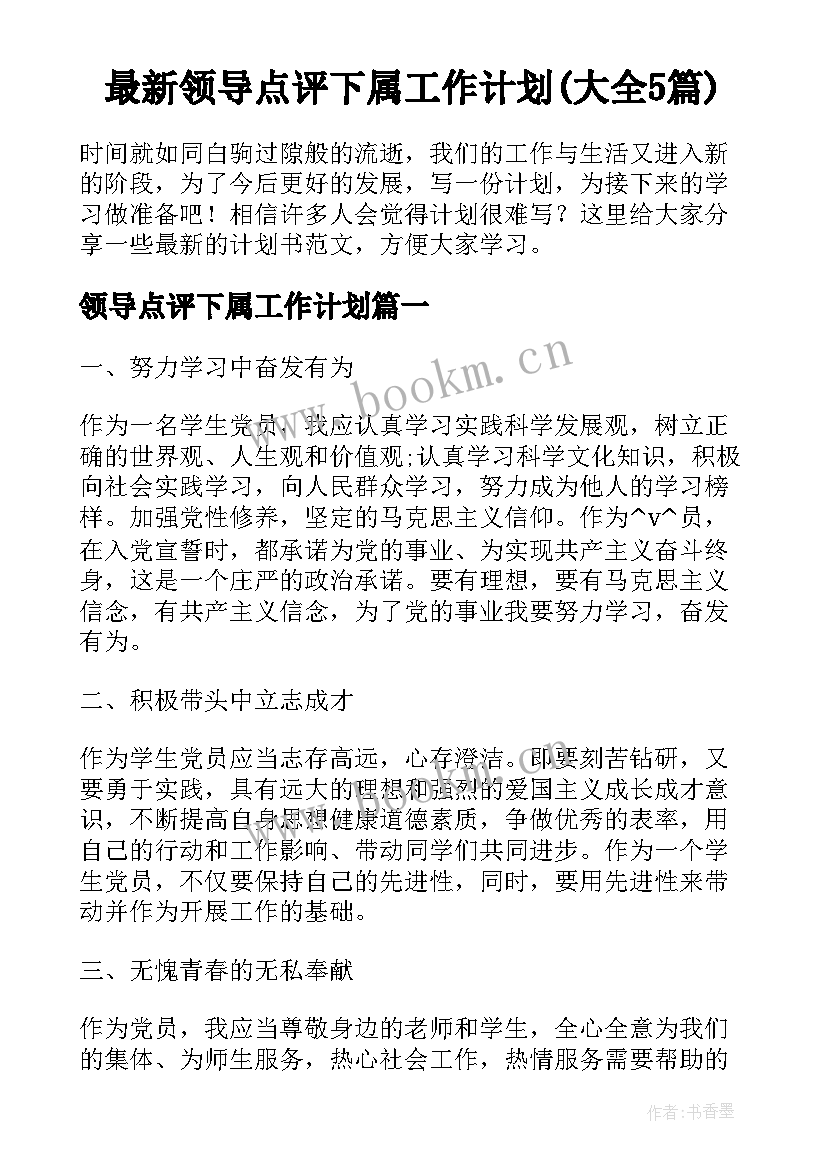 最新领导点评下属工作计划(大全5篇)