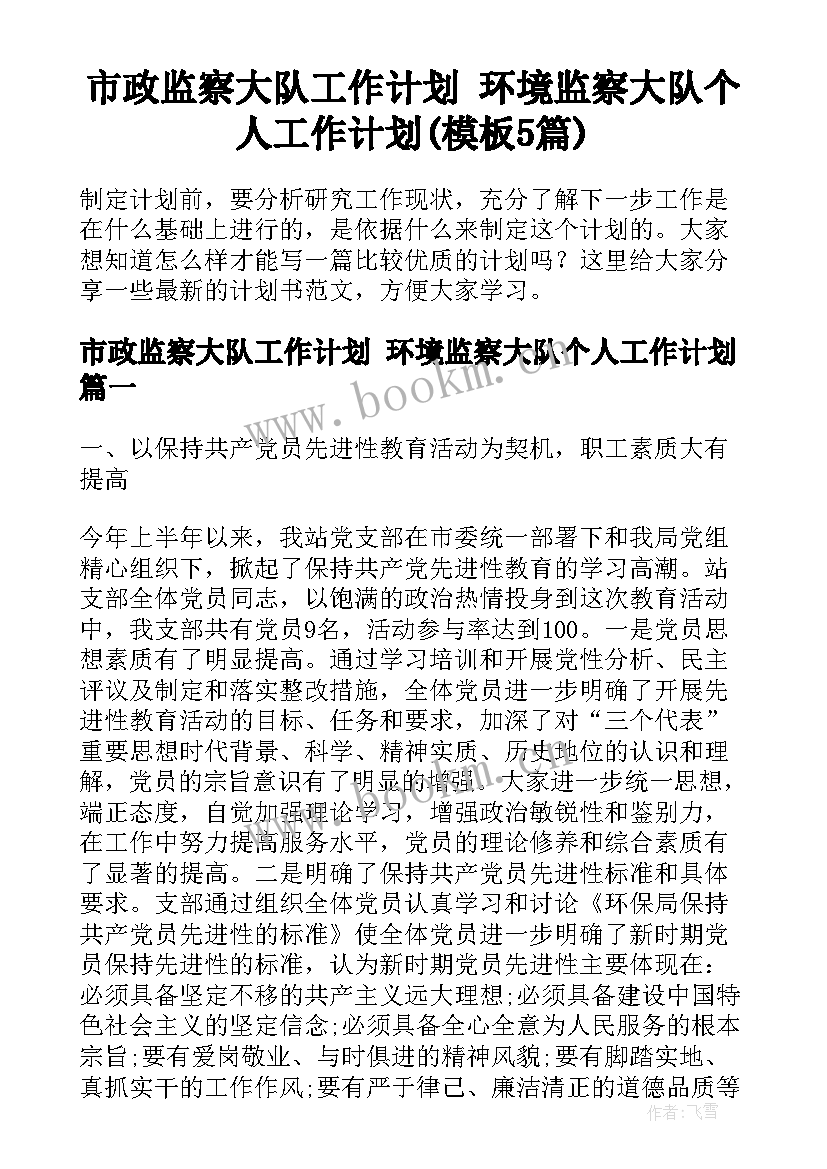 市政监察大队工作计划 环境监察大队个人工作计划(模板5篇)