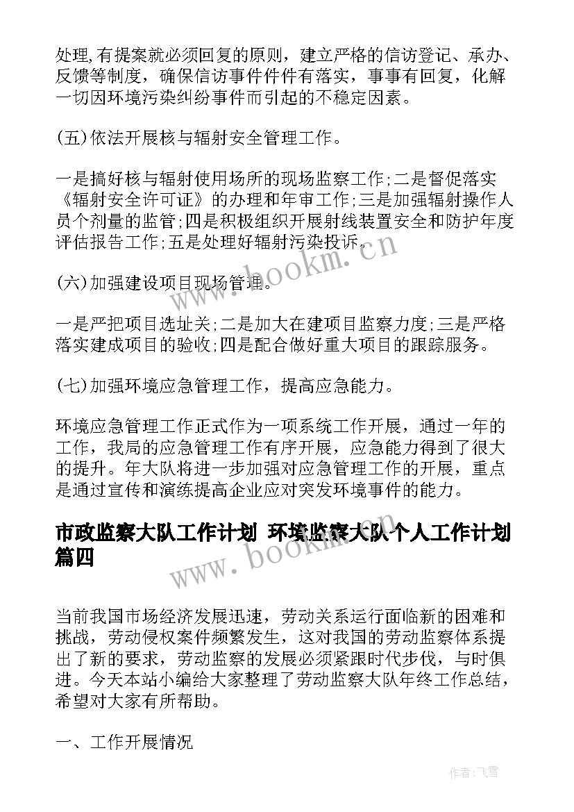 市政监察大队工作计划 环境监察大队个人工作计划(模板5篇)