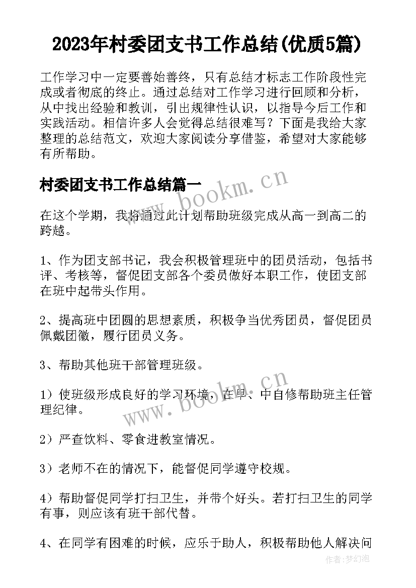 2023年村委团支书工作总结(优质5篇)