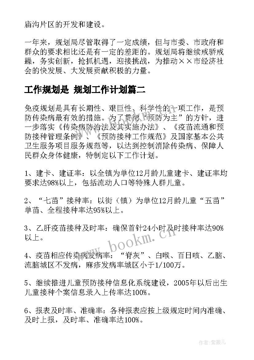 工作规划是 规划工作计划(模板5篇)