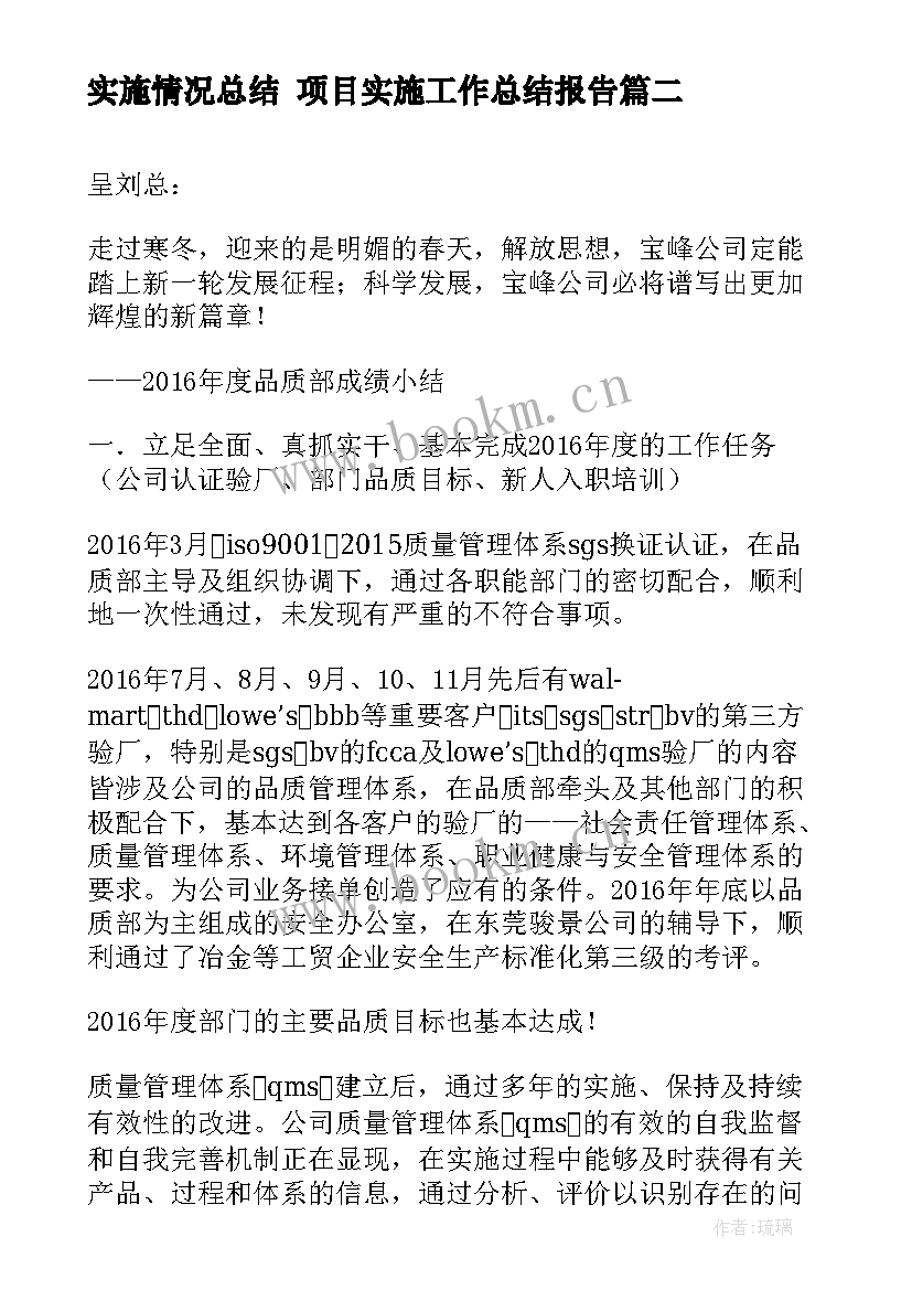 最新实施情况总结 项目实施工作总结报告(模板8篇)