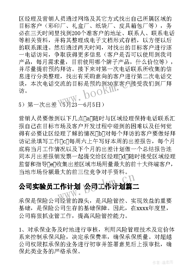 2023年公司实验员工作计划 公司工作计划(实用10篇)