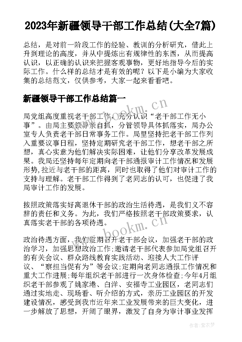 2023年新疆领导干部工作总结(大全7篇)