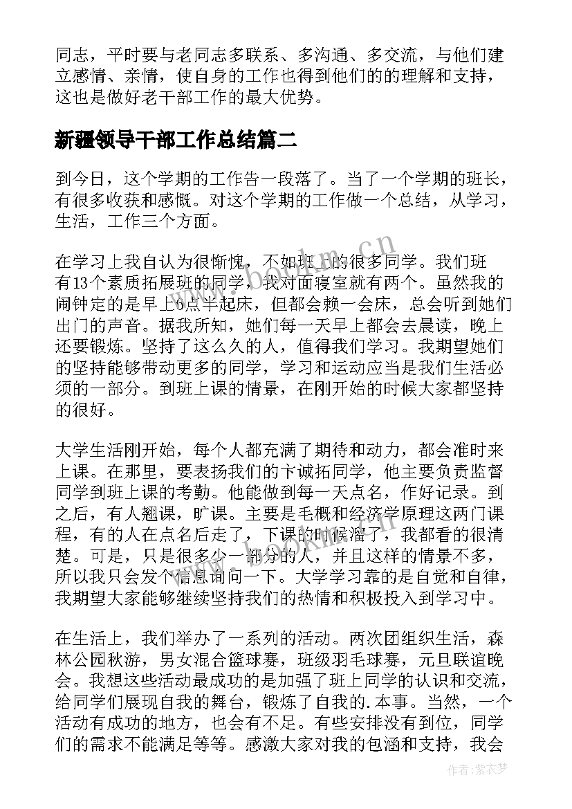 2023年新疆领导干部工作总结(大全7篇)