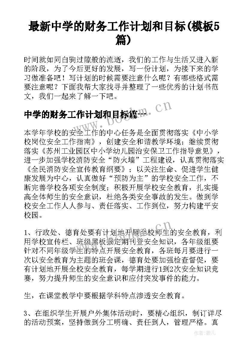 最新中学的财务工作计划和目标(模板5篇)